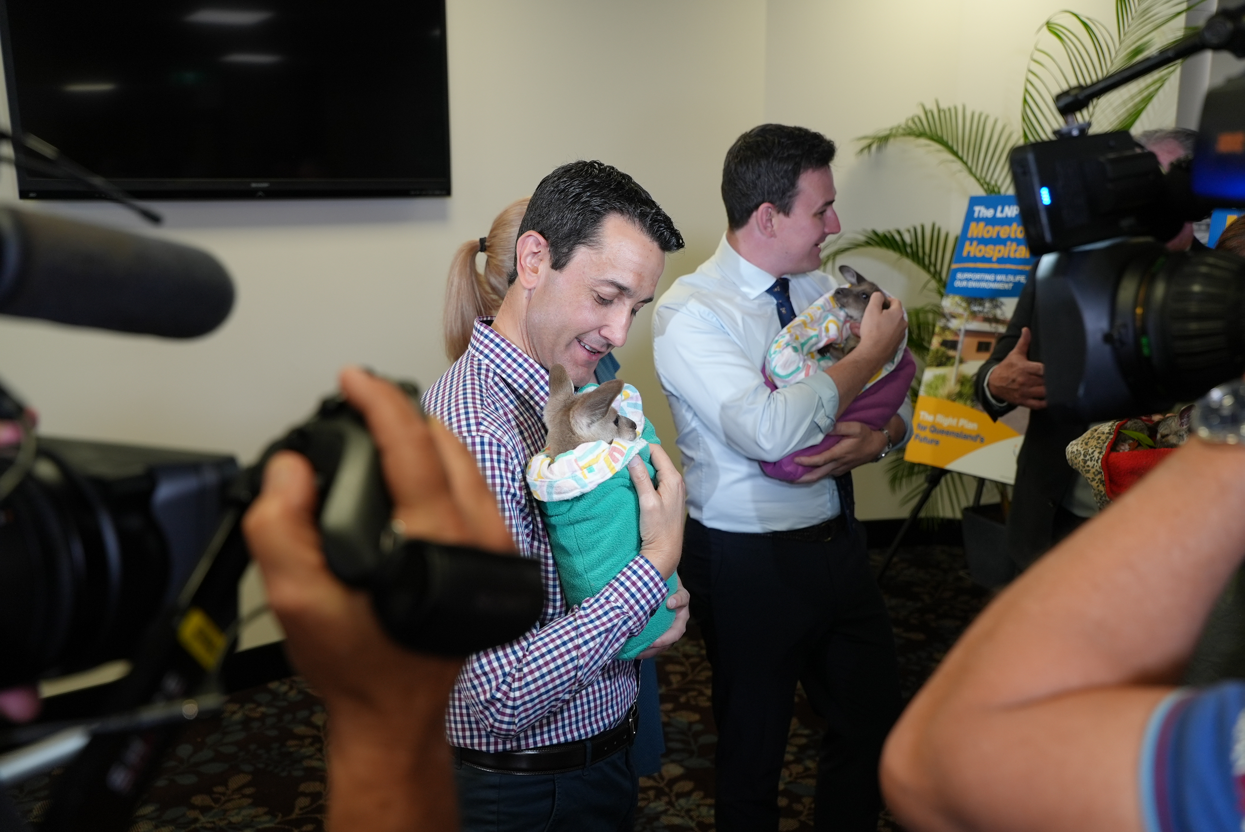 LNP to deliver a world-class Moreton Bay Wildlife Hospital
